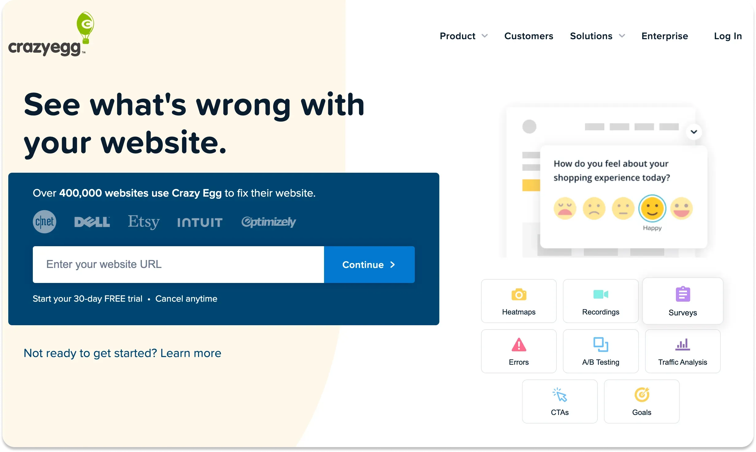 The Crazy Egg homepage